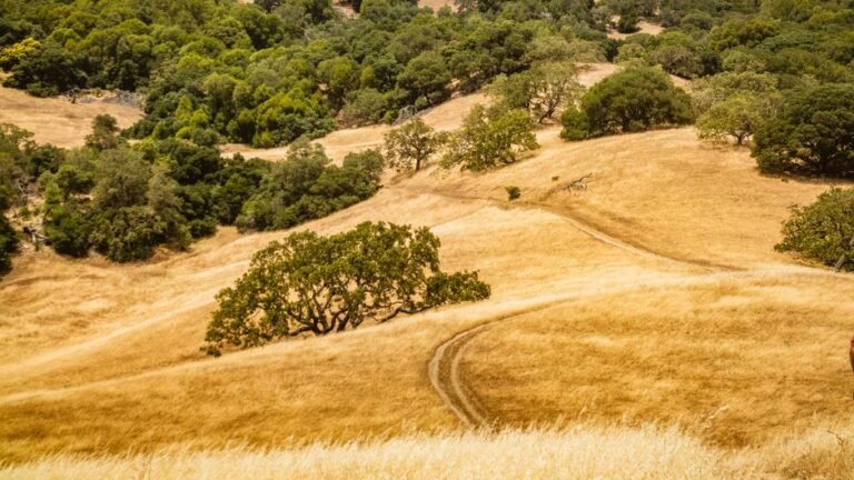 fire season garage door safety readiness — Thousand Oaks CA