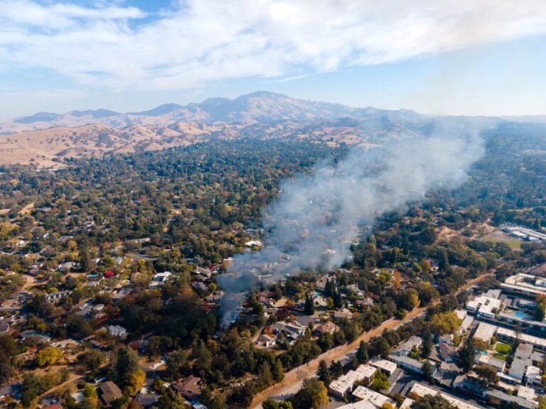 Woolsey Fire garage door damage and rebuild — Thousand Oaks CA